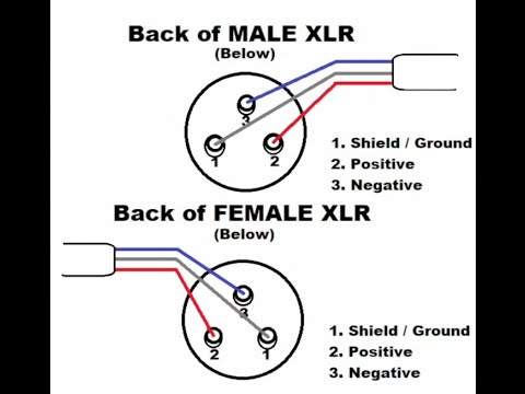 XLR.jpg