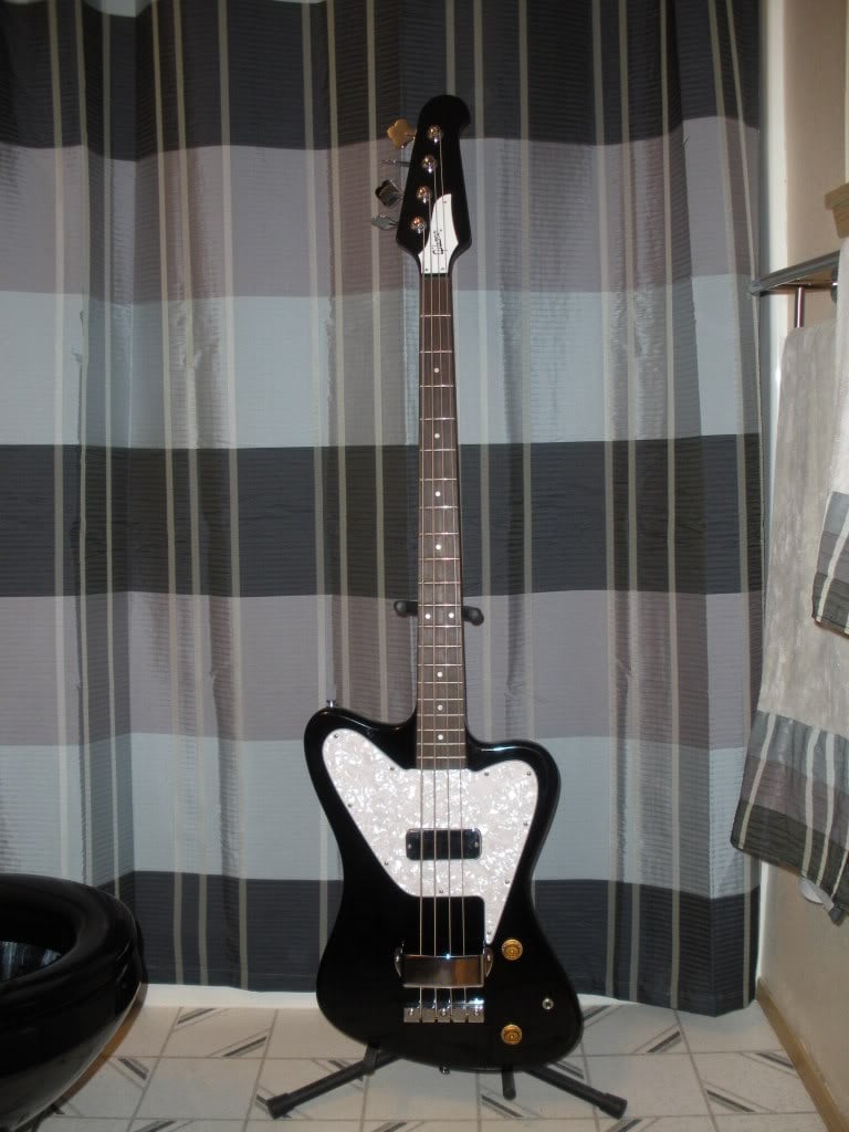 xmasbirds001.jpg