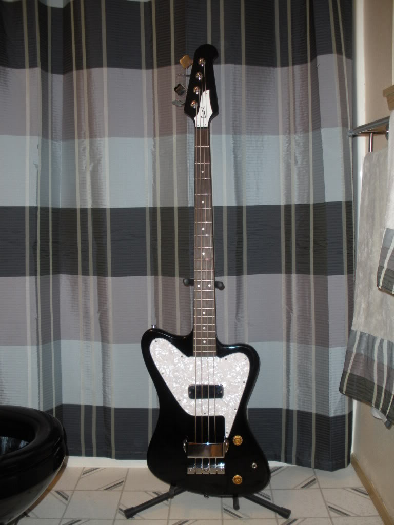 xmasbirds001.jpg