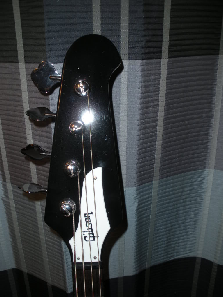 xmasbirds004.jpg