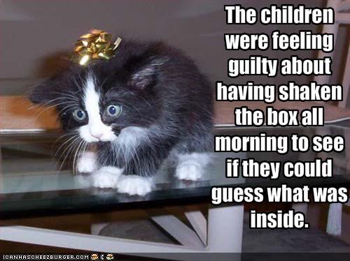 xmaskitty.jpg