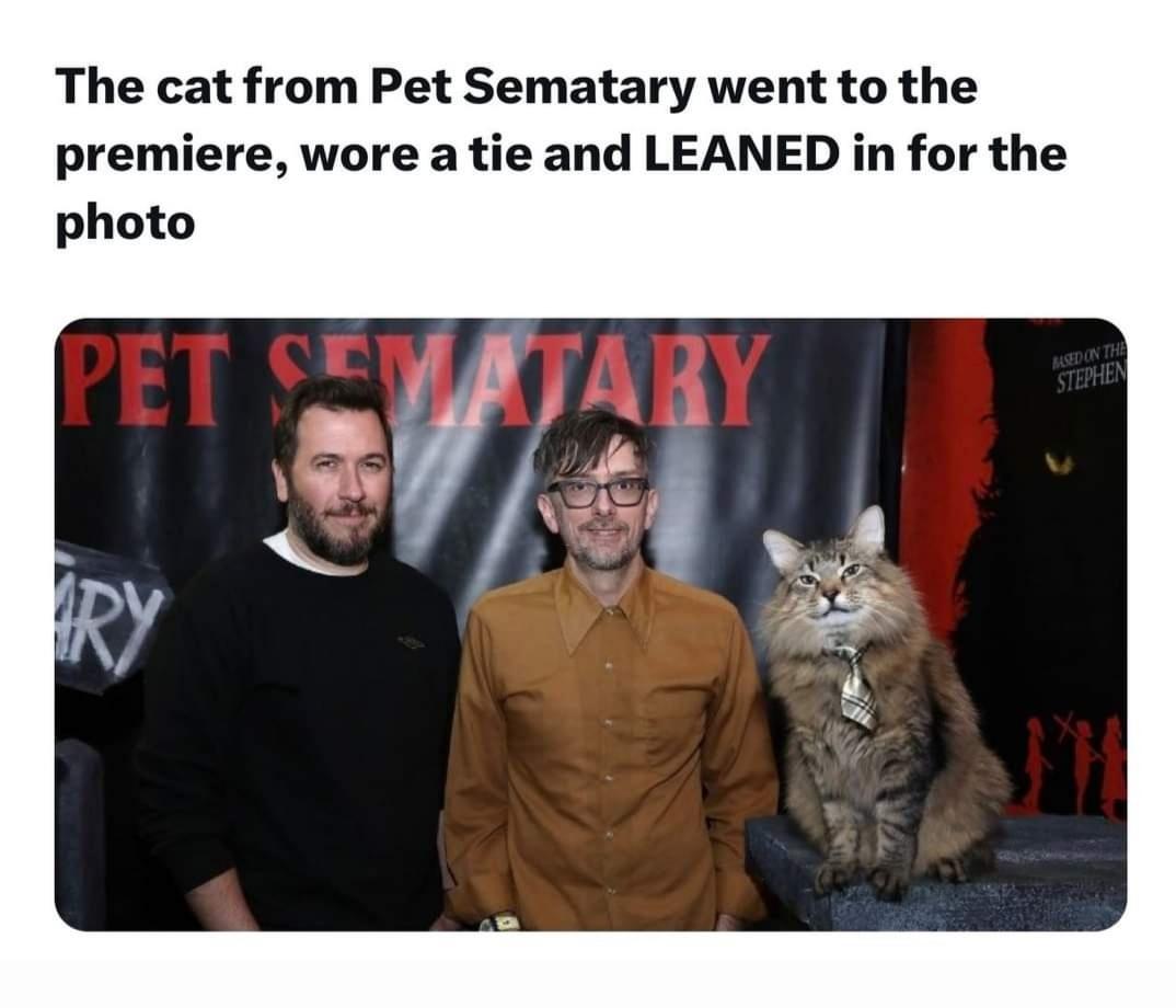 XwGudqL.jpeg