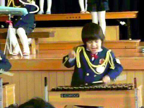 xylo gif.gif