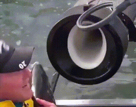 y6E34LC.gif