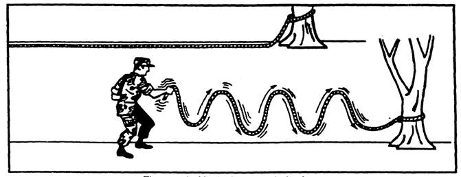 y_cc9e6765.jpg