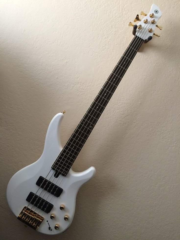 Yamaha TRBX305 Post.jpg