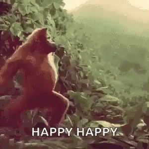 yay.gif