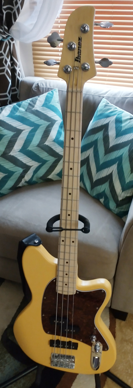 yellowTalman1.jpg