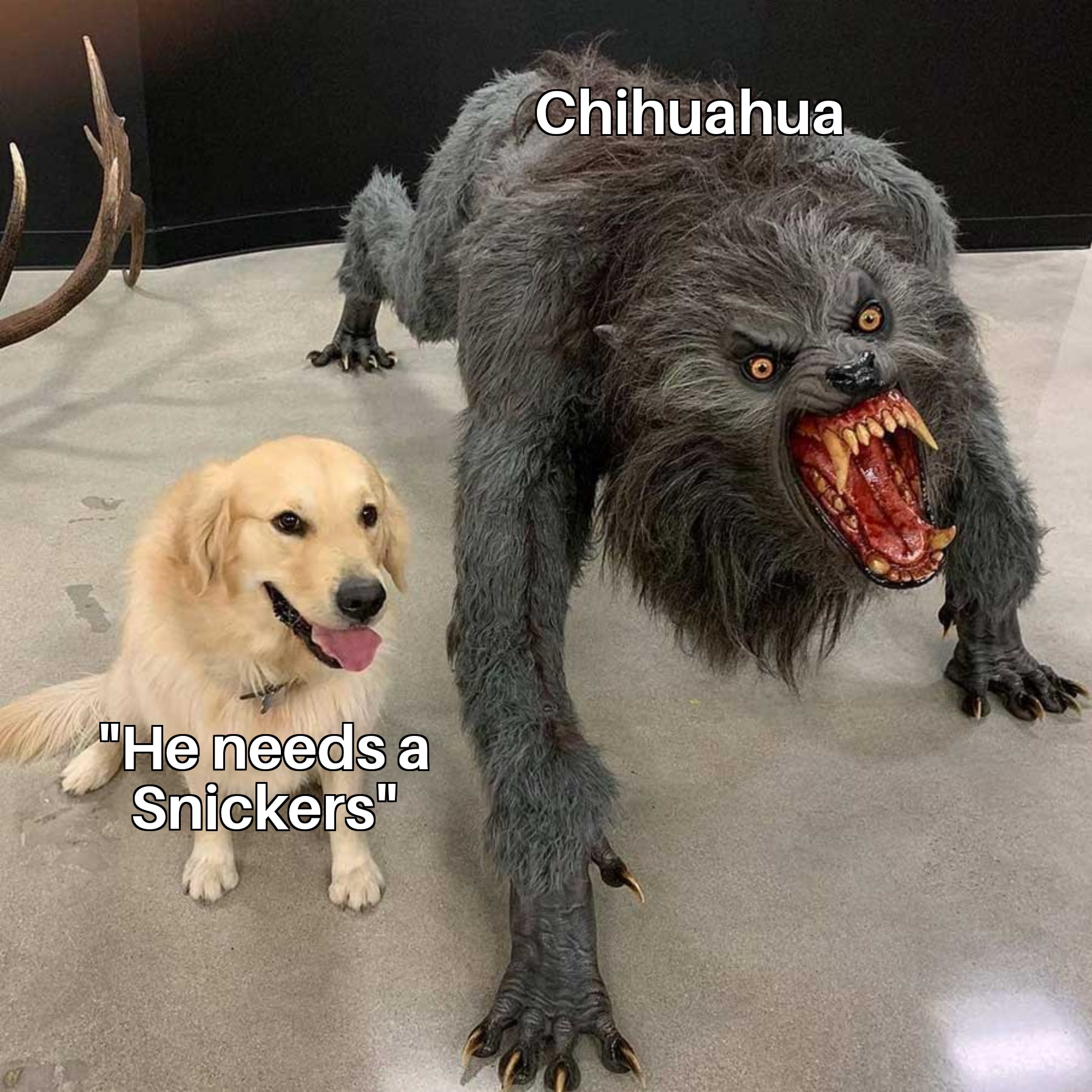 yMon4iG.jpg