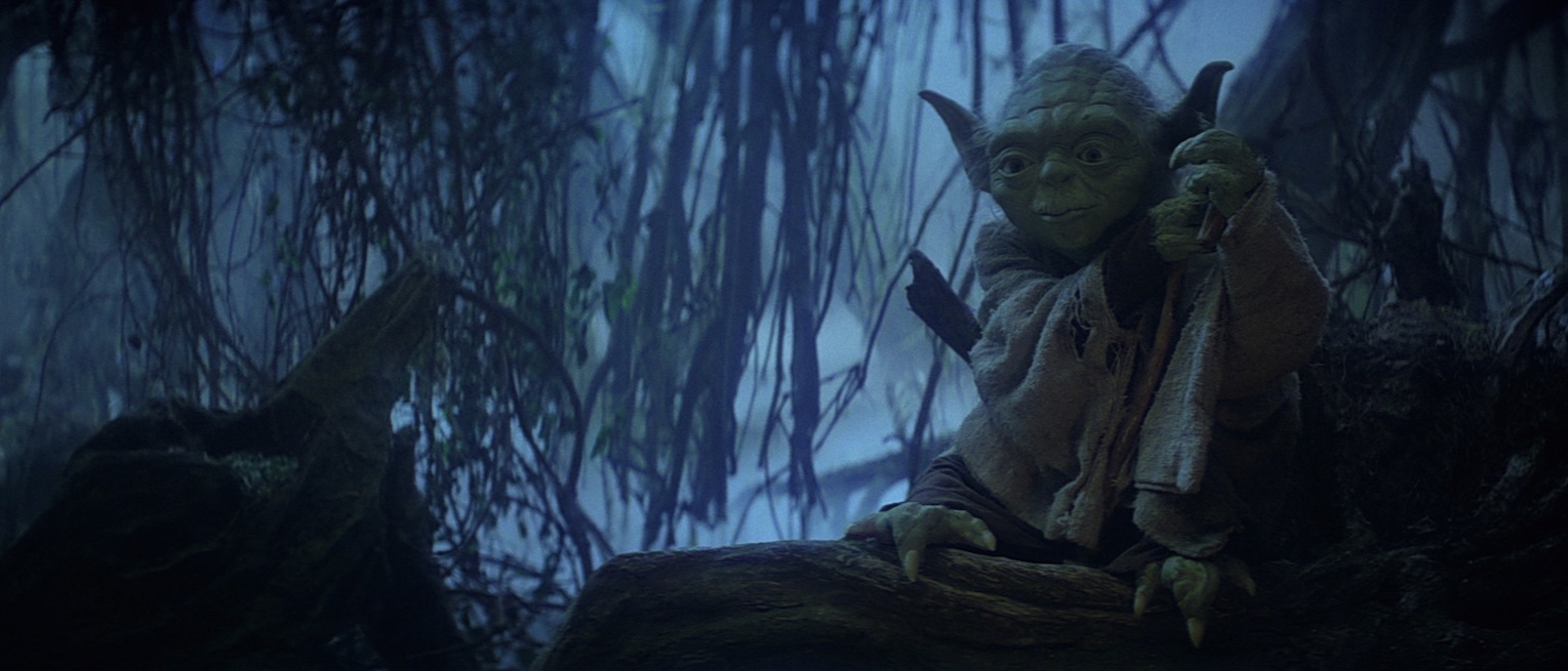 yoda1.jpg