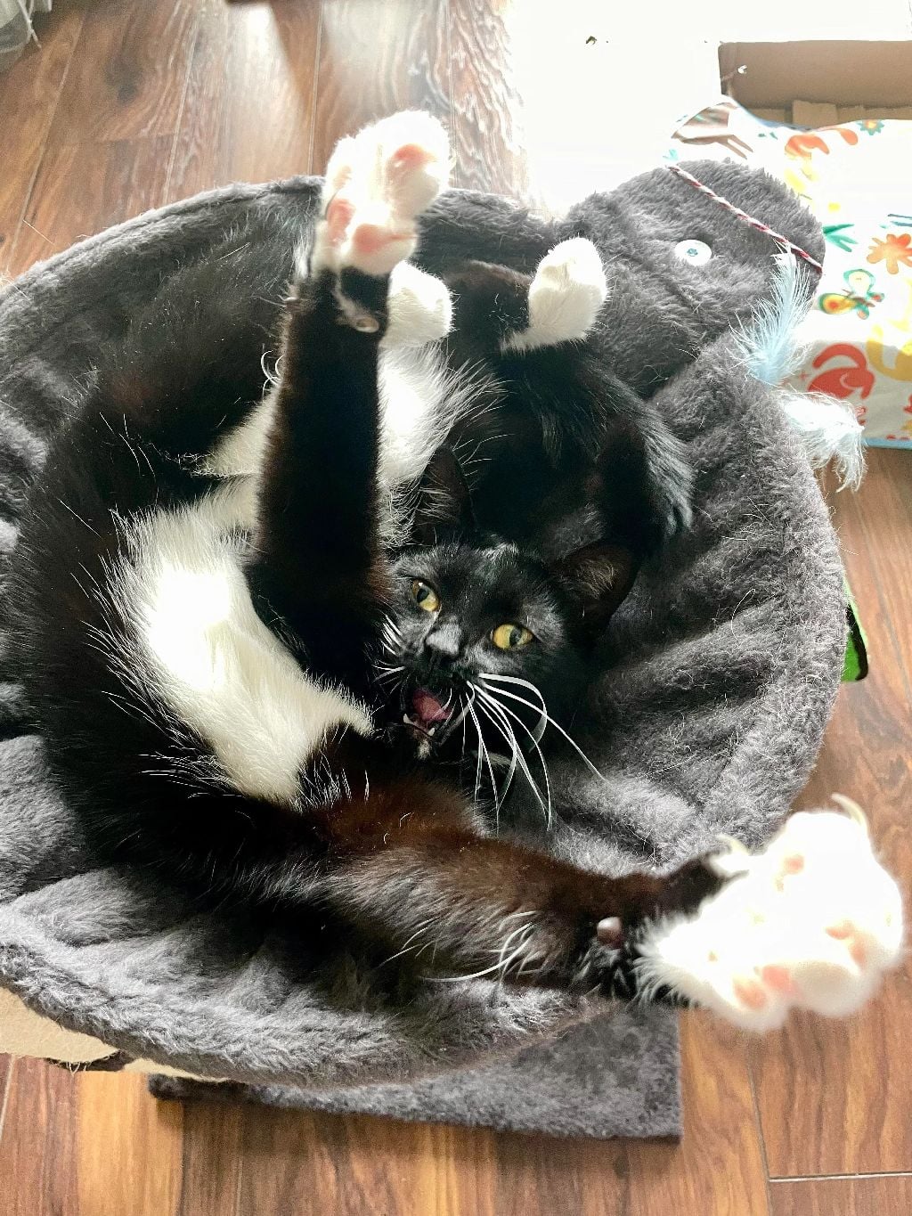 Yoga master.jpg
