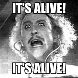 Young-Frankenstein1.jpg