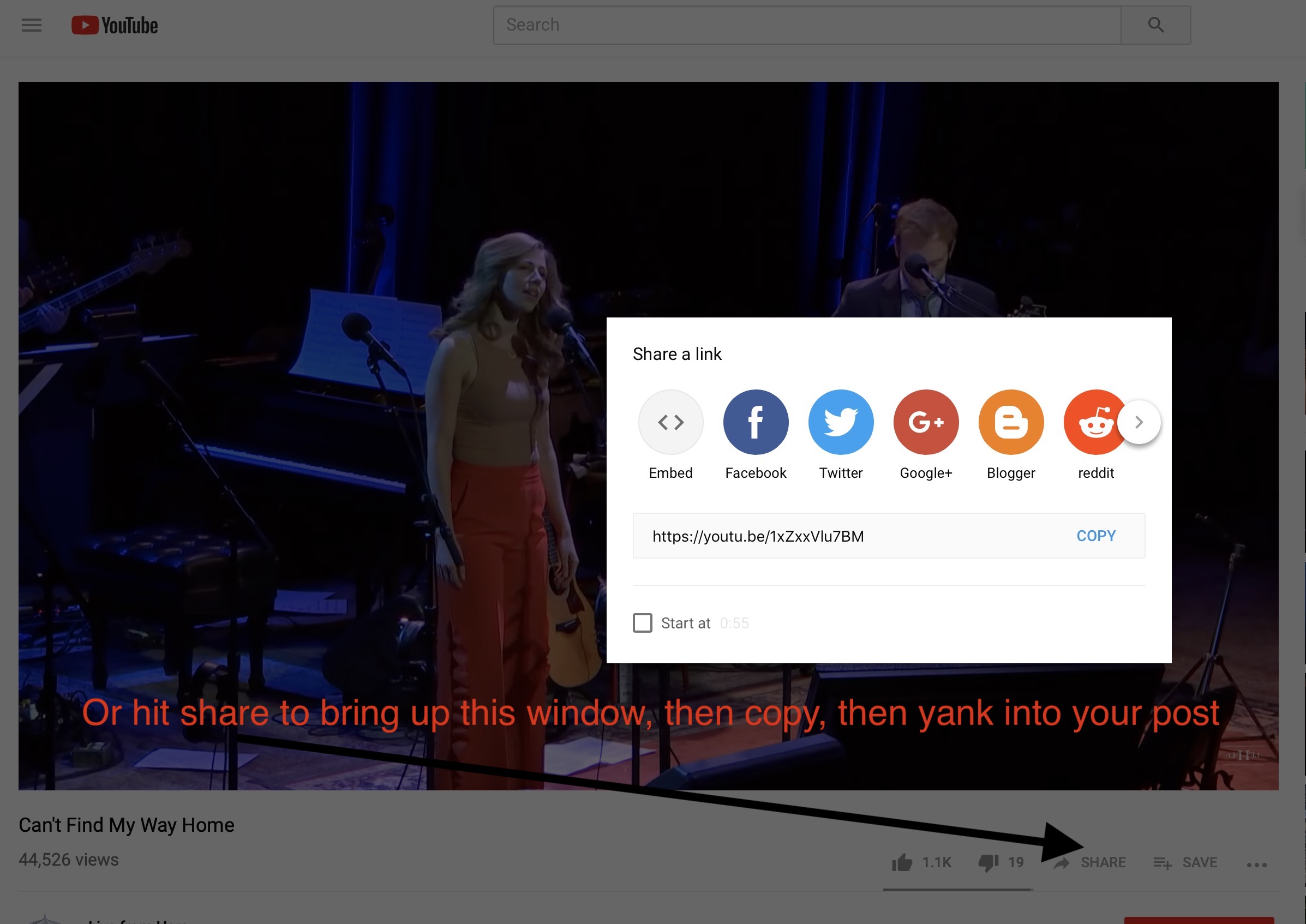youtube.jpg