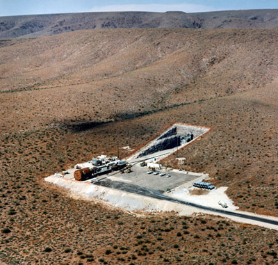 yucca.jpg