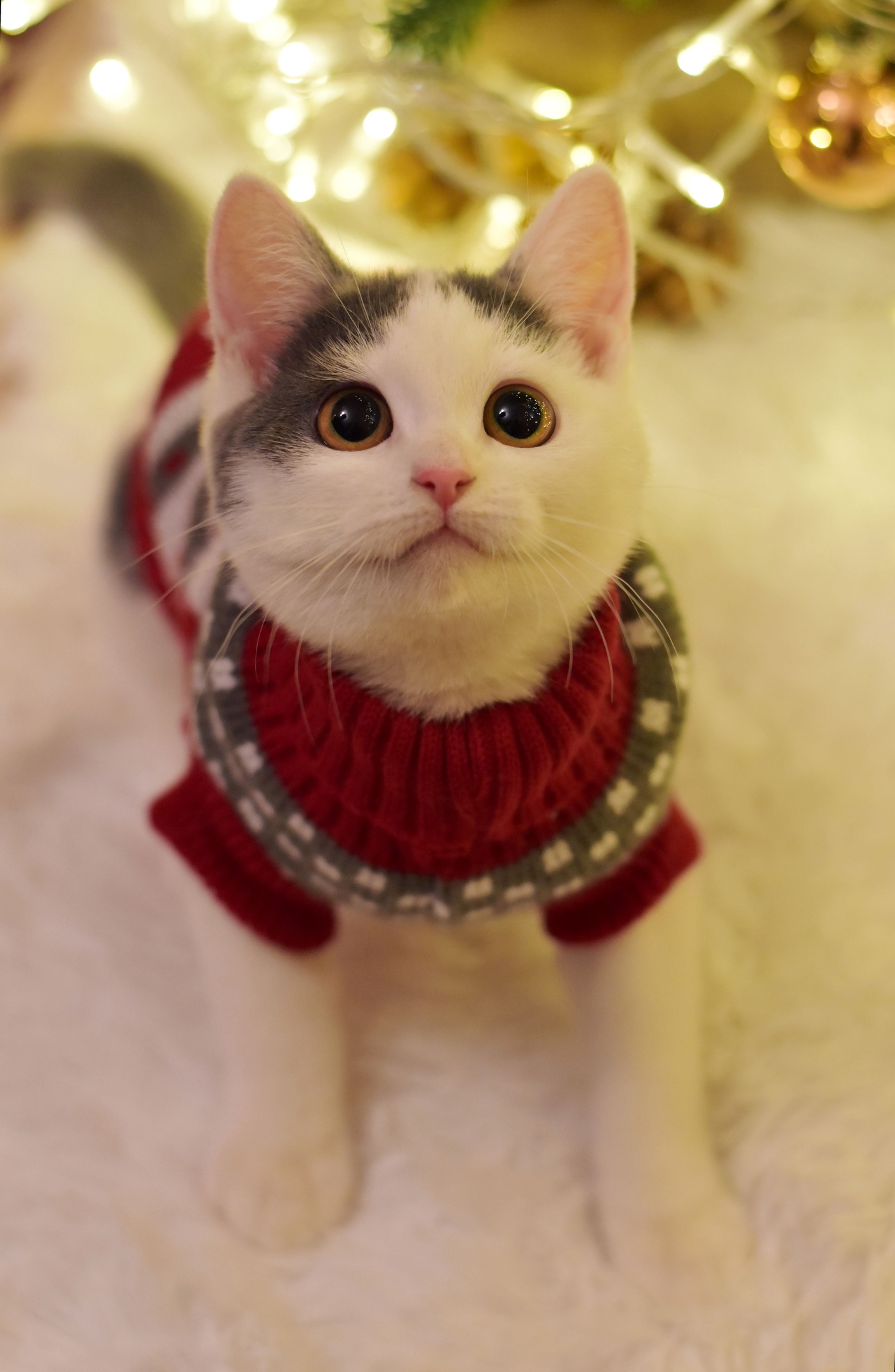 Yup, its xmass again.jpg
