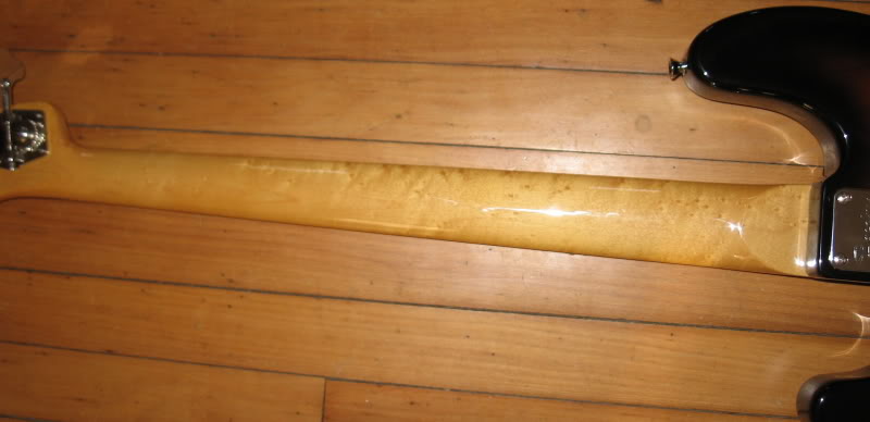 z5.jpg