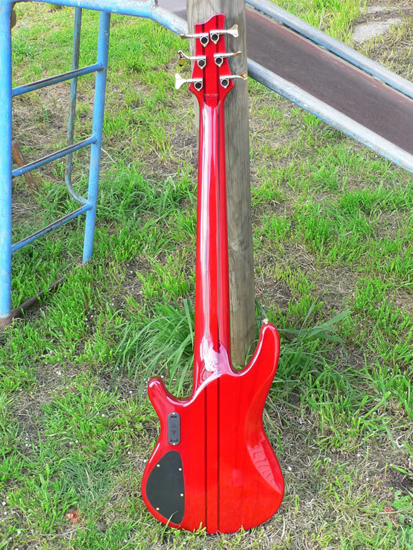 z6_rear.jpg