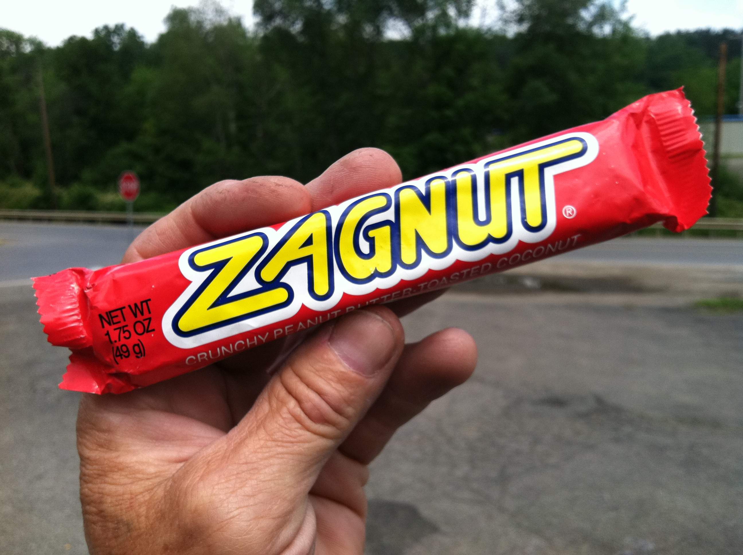 Zagnut2.JPG