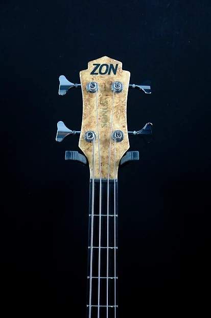 Zappa head.jpg
