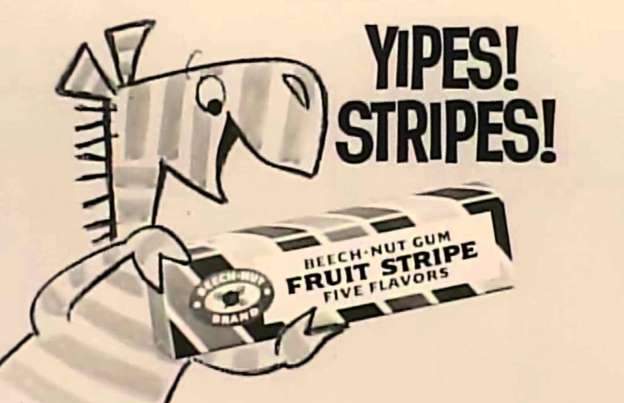 zebra.jpg