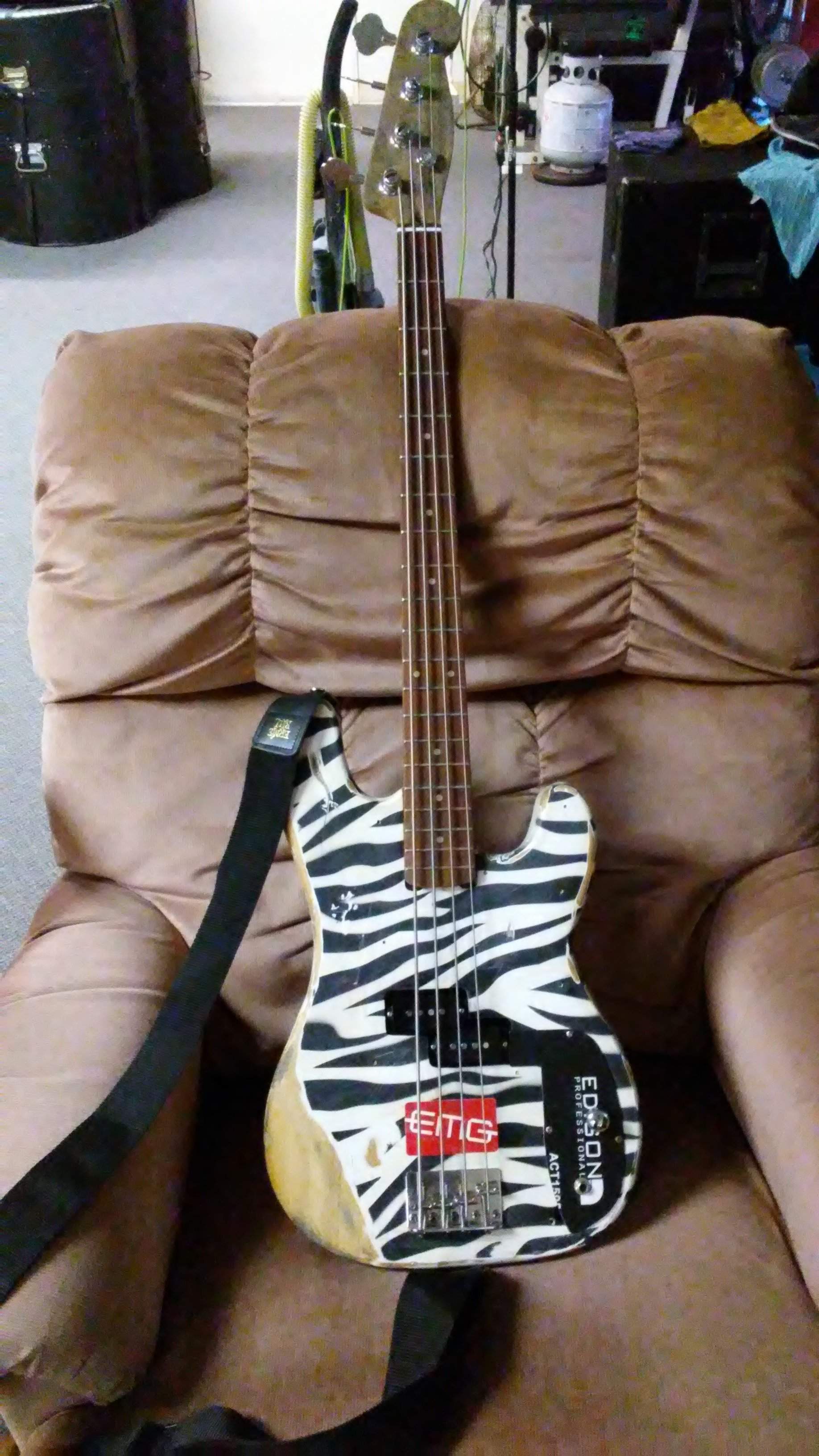 Zebra3.jpg