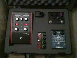 zebrapedalcase.jpg