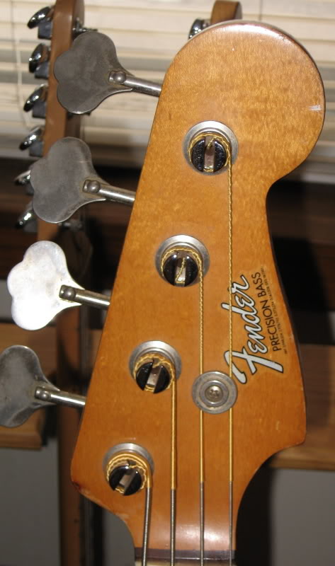 zheadstock.jpg