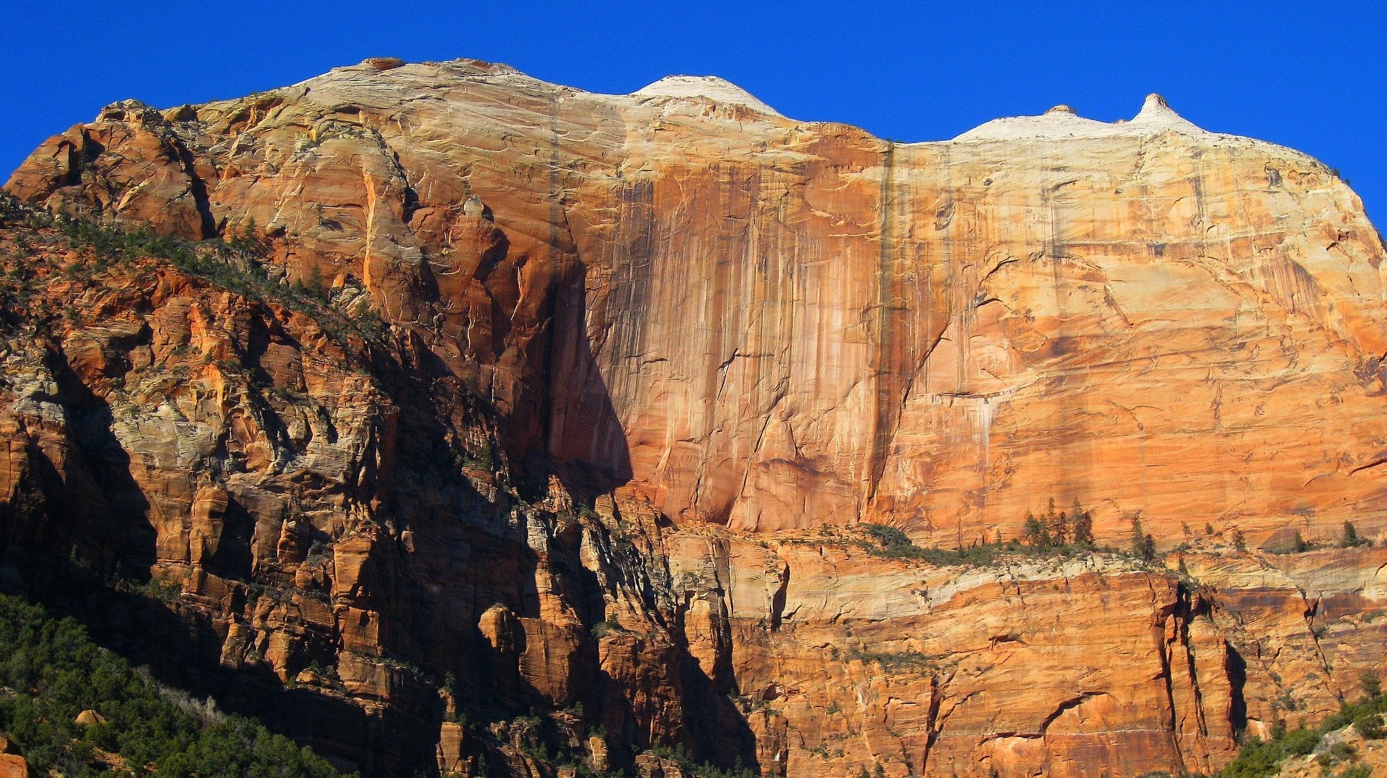 Zion 414.jpg