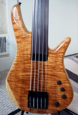 zl1-300.jpg