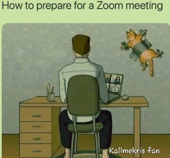zoom cat.jpg