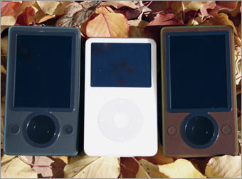 Zune_leaves.jpg