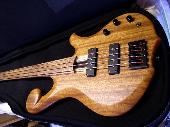 zz11-mfa1.jpg