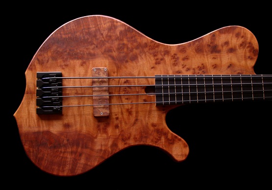 zz9-pcf5_000.jpg