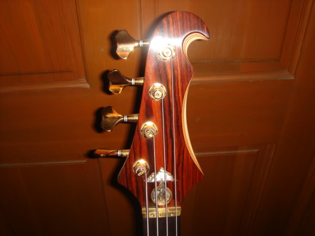 DSC02508.jpg