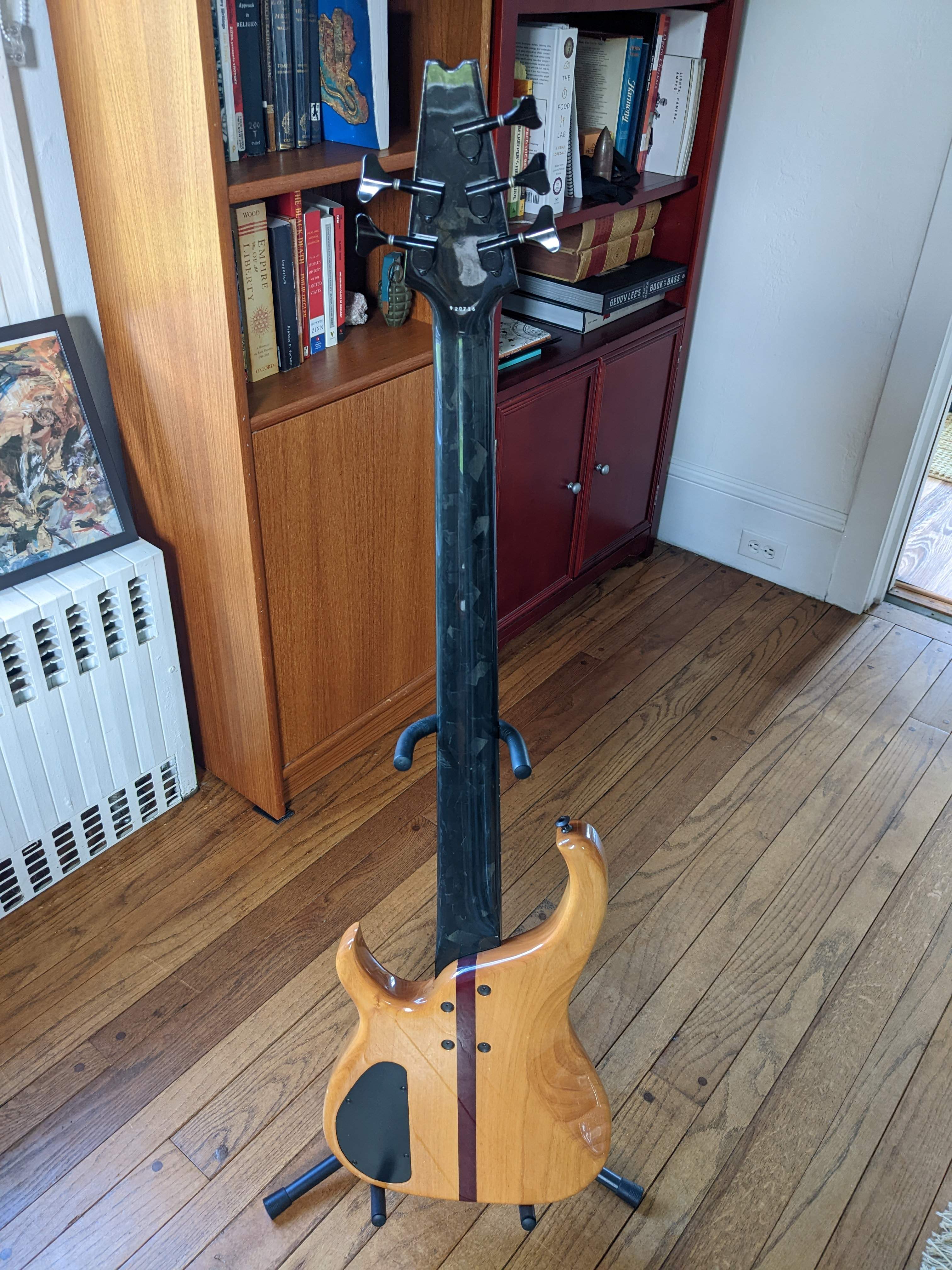 Modulus Back.jpg