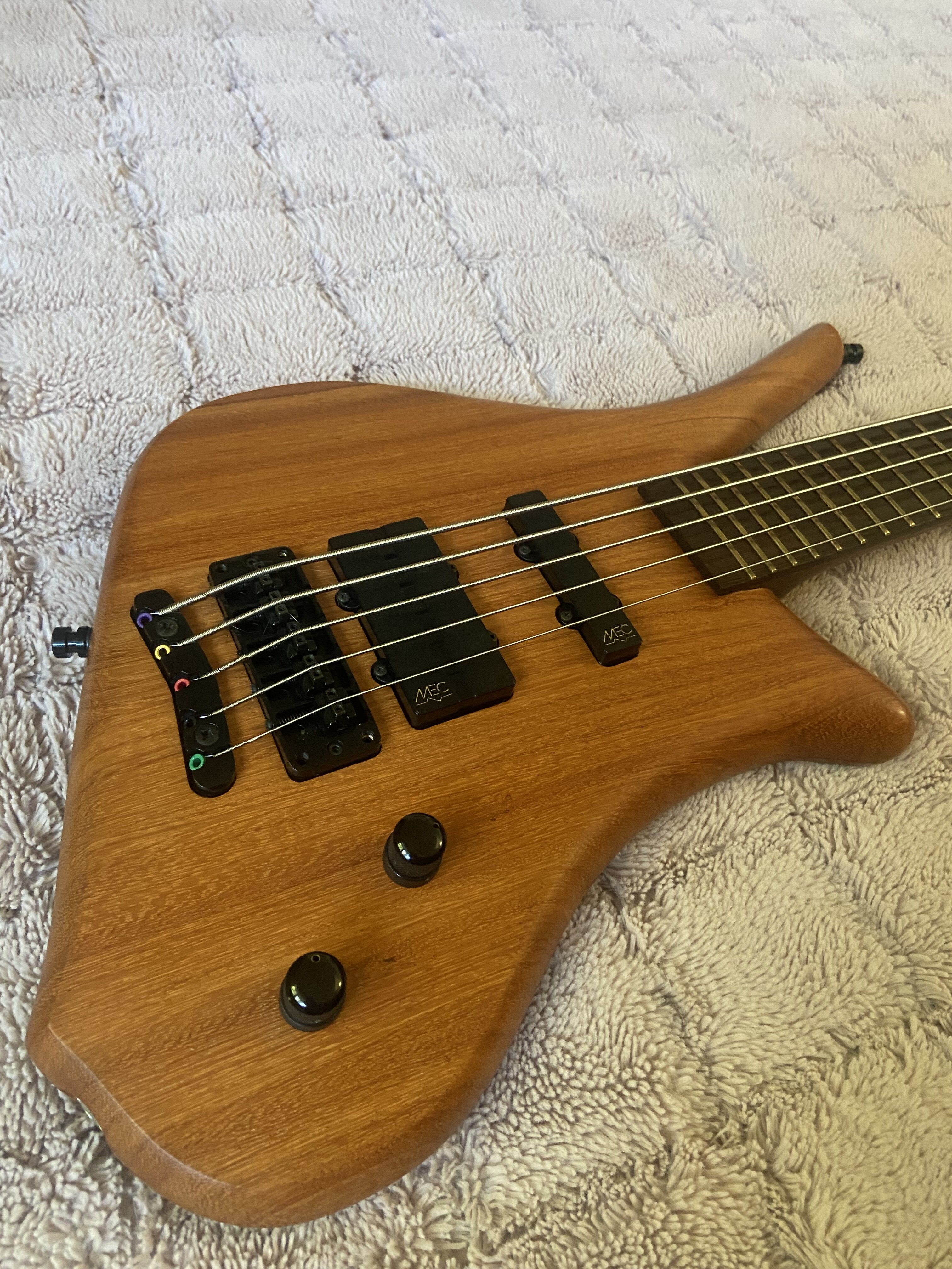 Dolphin Top Body.jpg