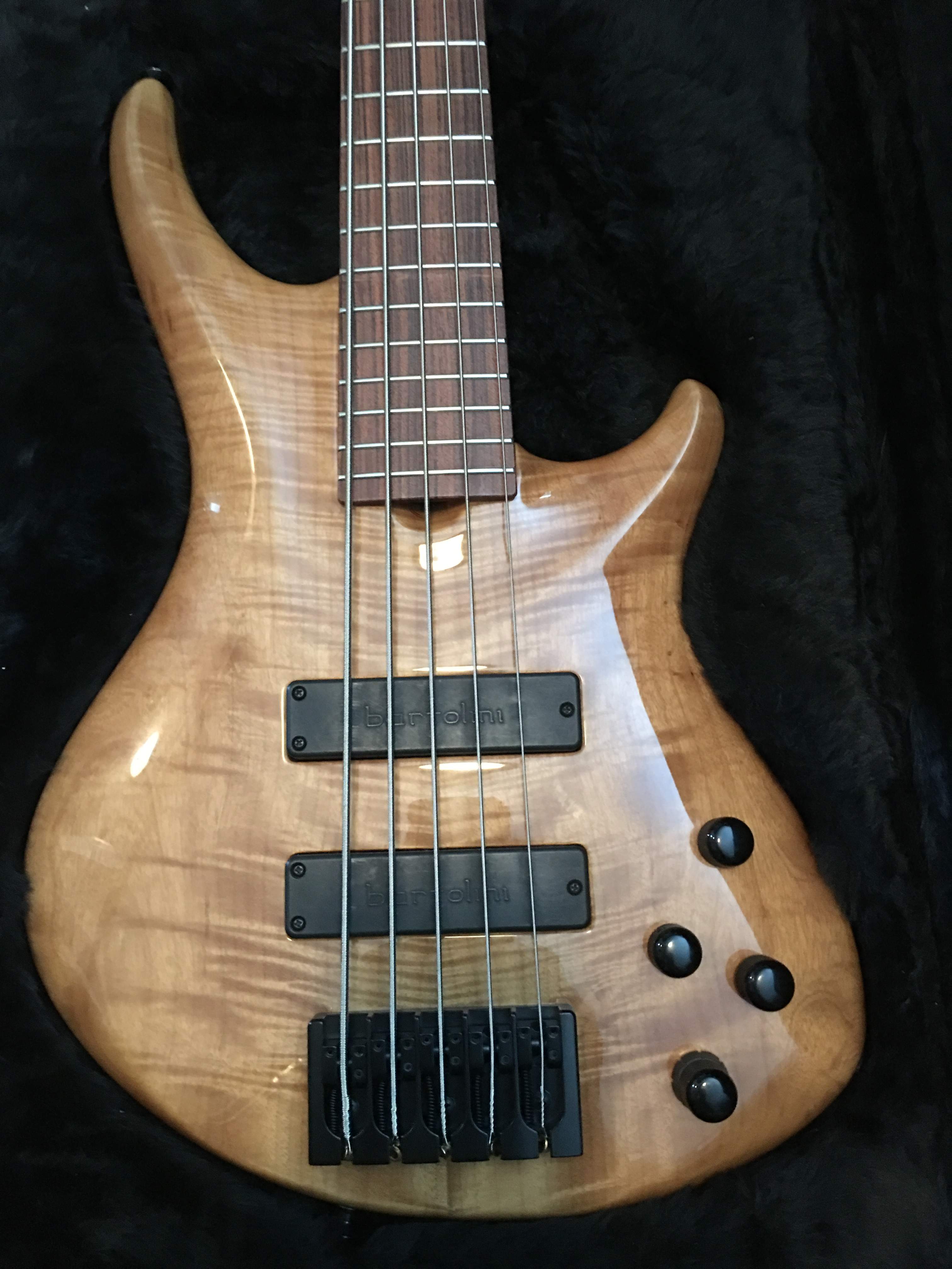 Bass 10.JPG