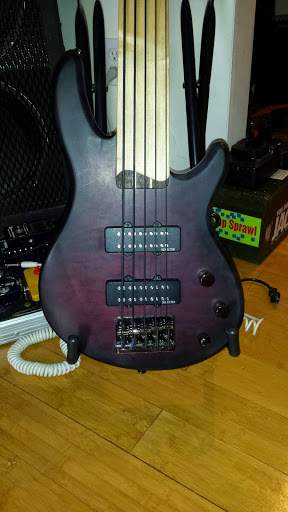 fretless1.jpg