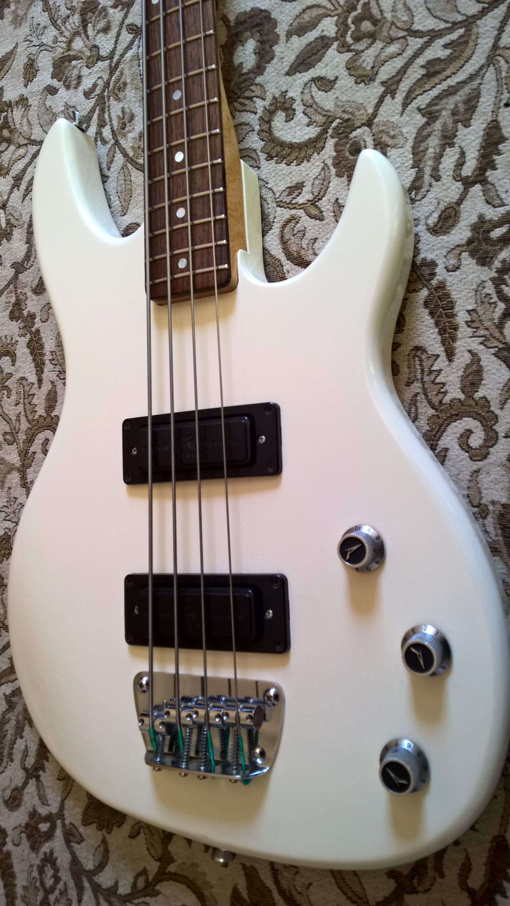 peavey_body.jpg