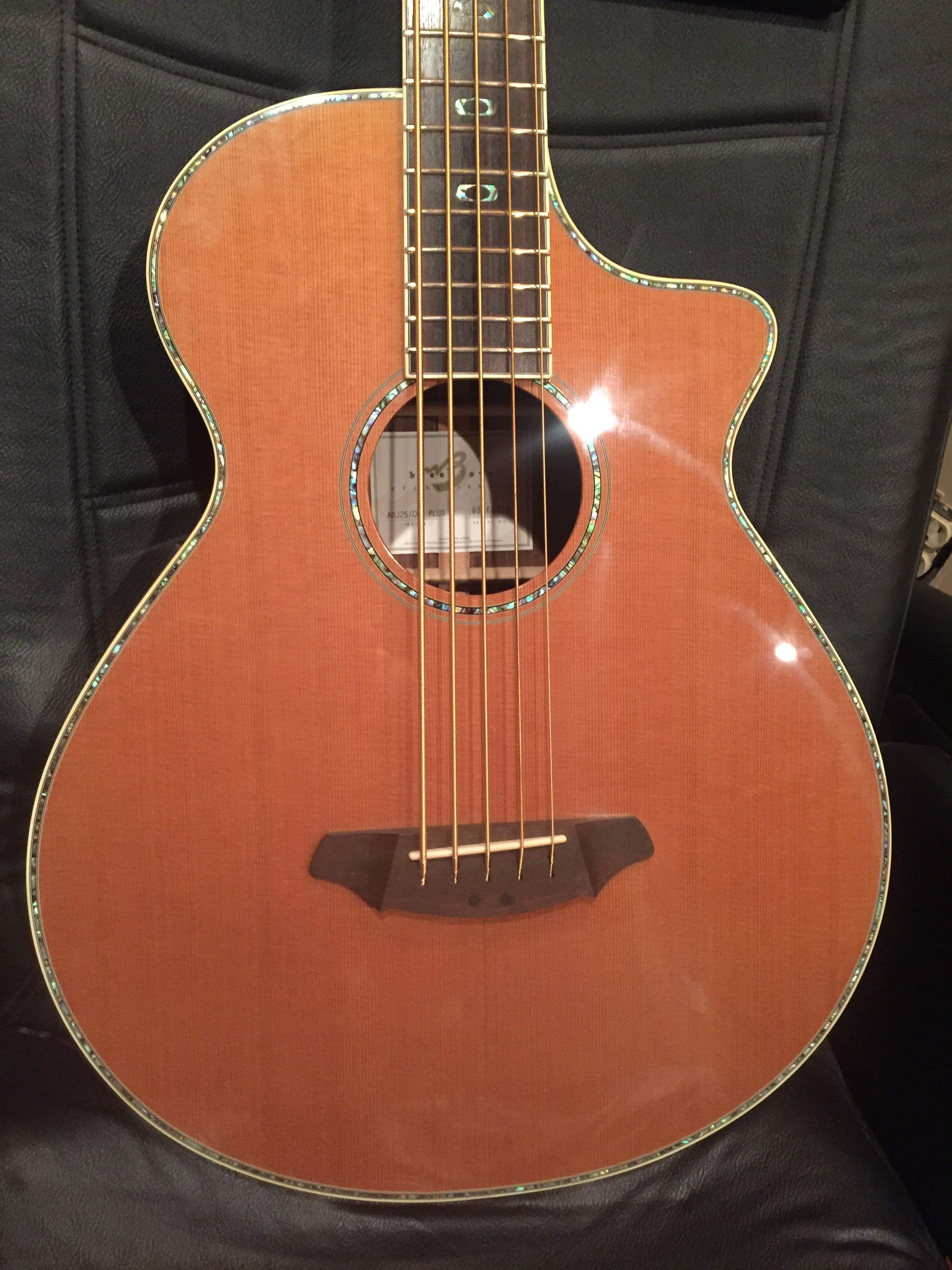 breedlove1.JPG