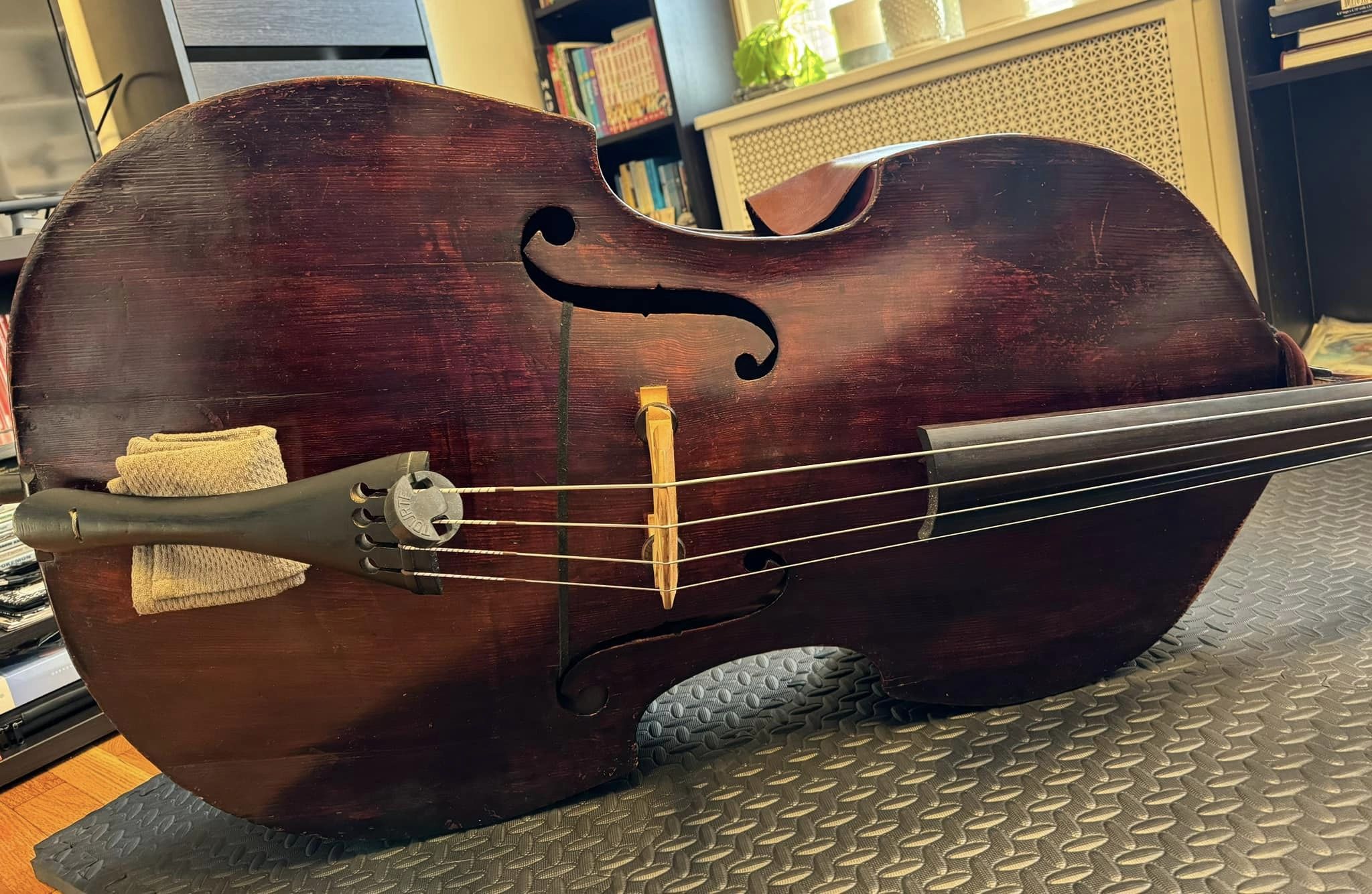 bass1.jpg