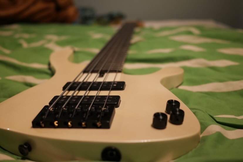 Callow 1.JPG