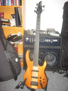 my carvin1.jpg