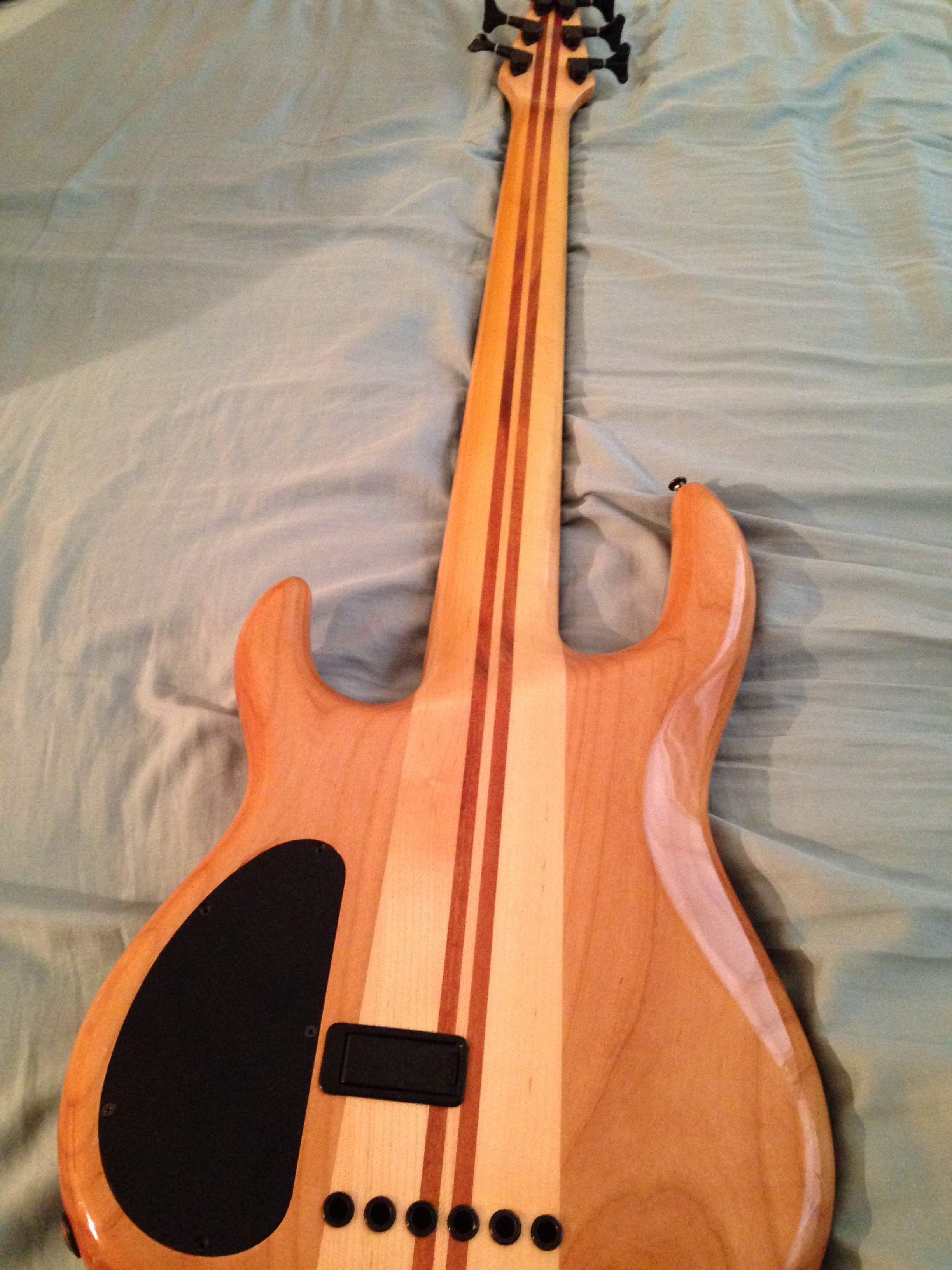 Carvin Back.JPG
