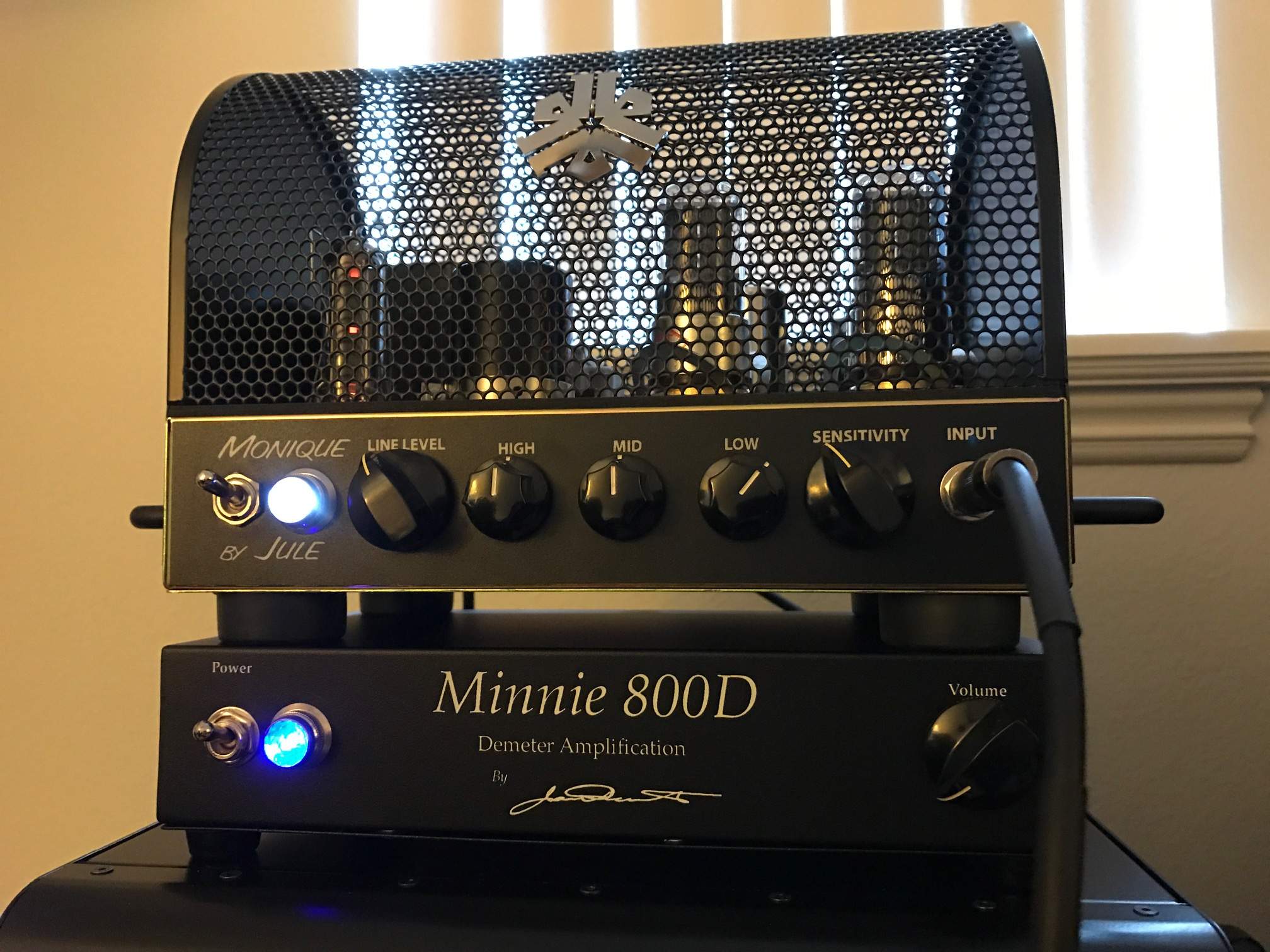 Minnie_front.jpg