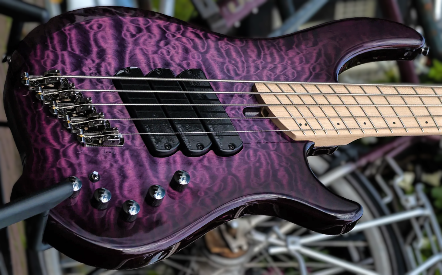 Dingwall Combustion V (Reverb) 1.png