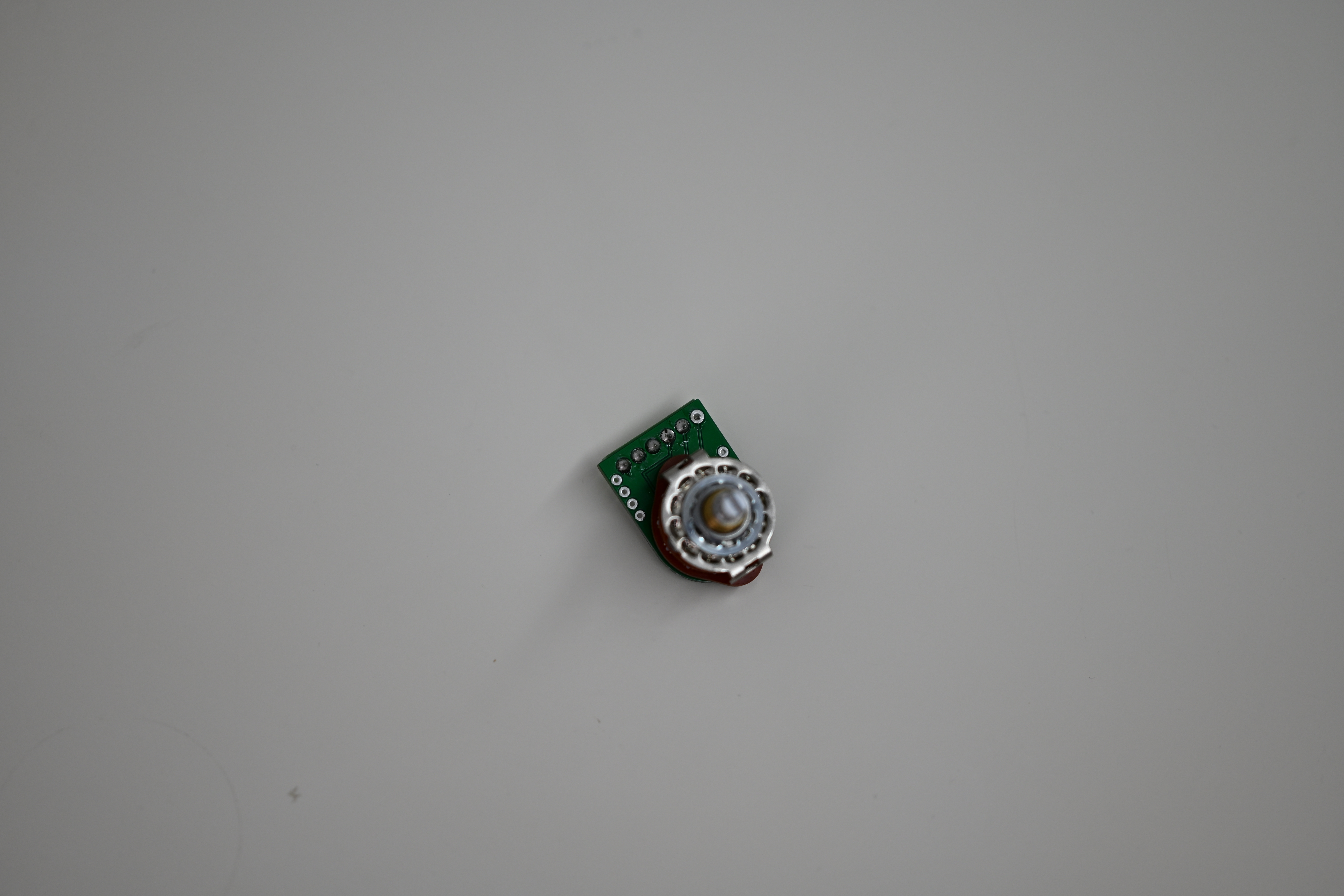 DSC_8533.JPG