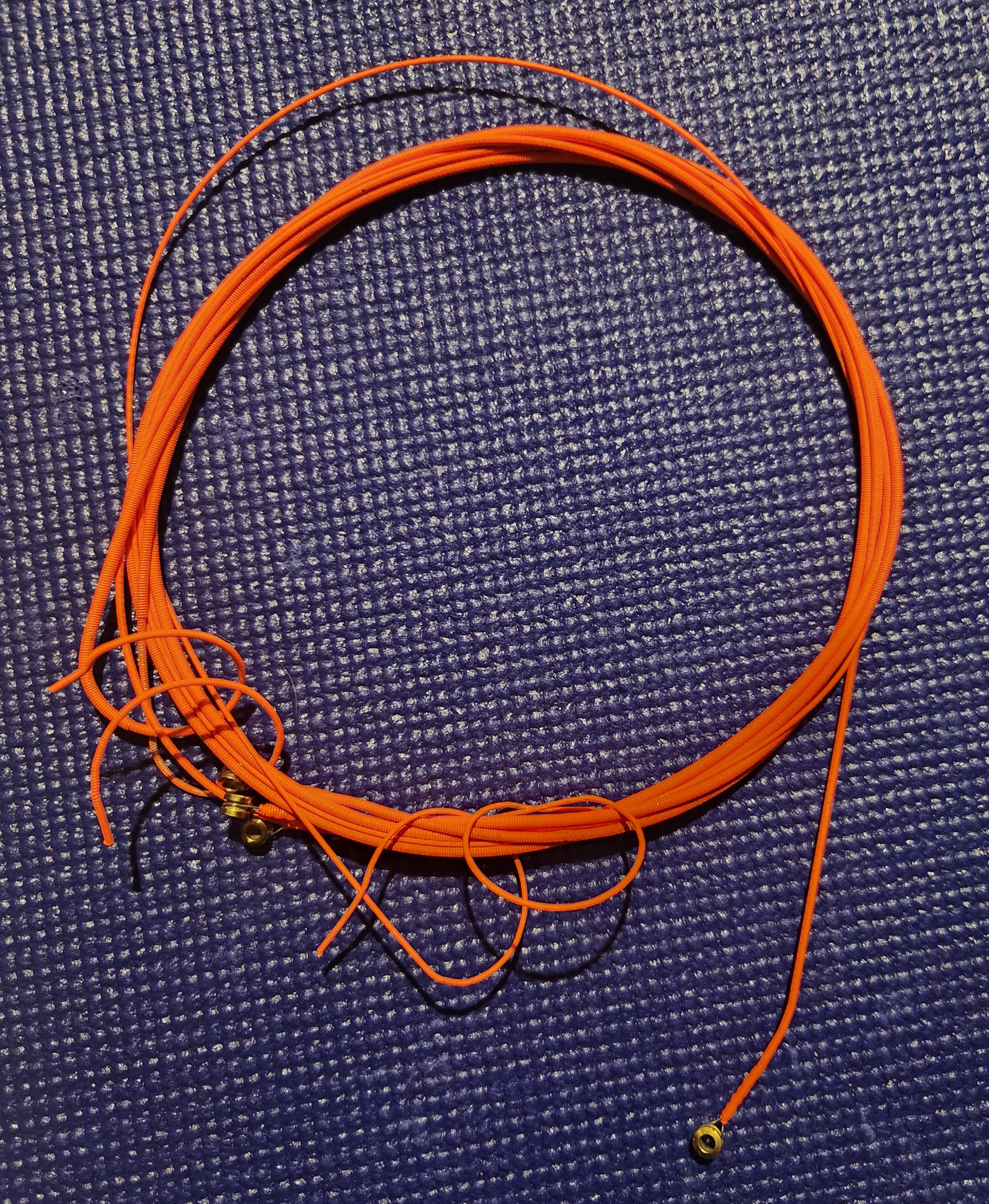 20250120_215614.jpg