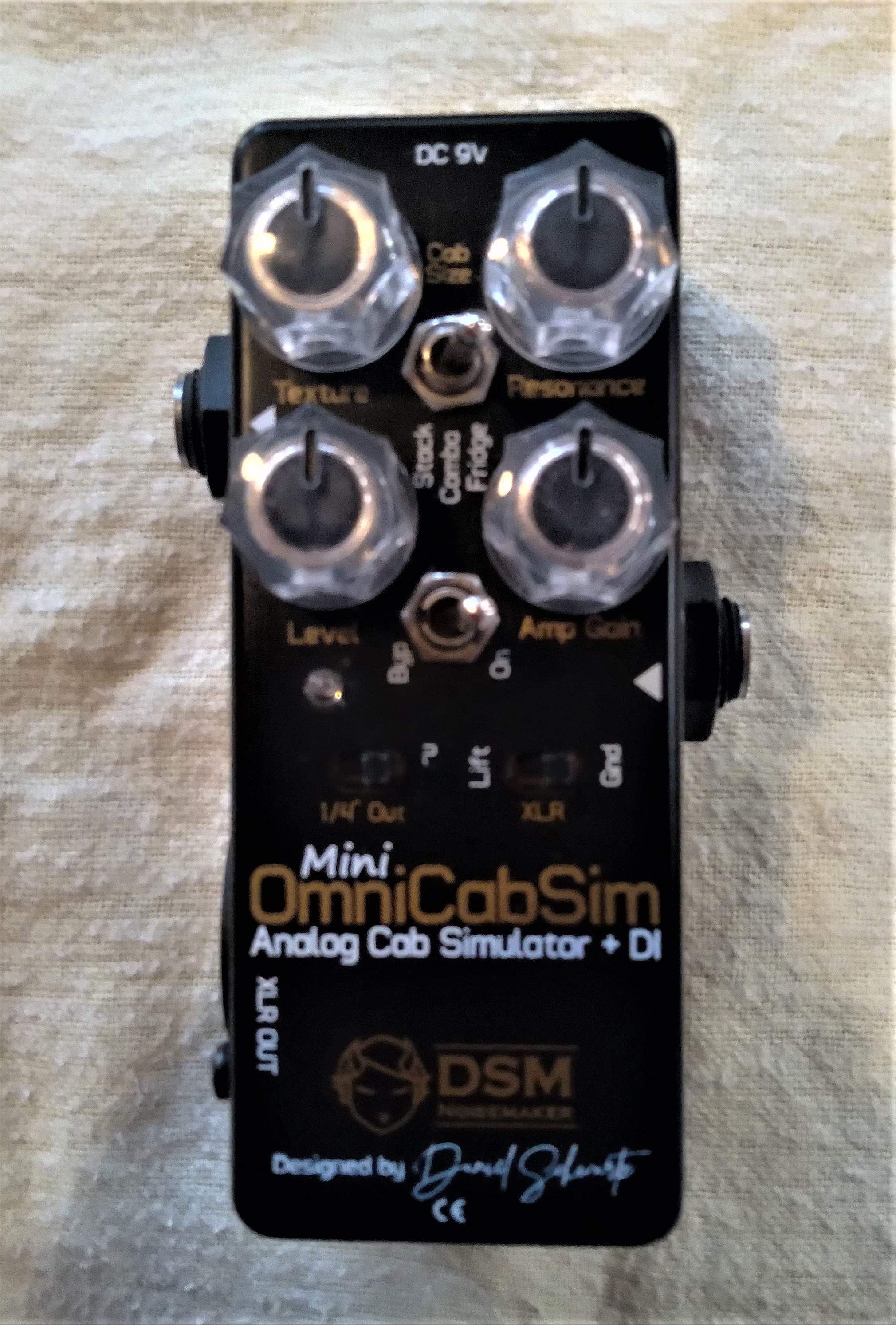 DSM.jpg