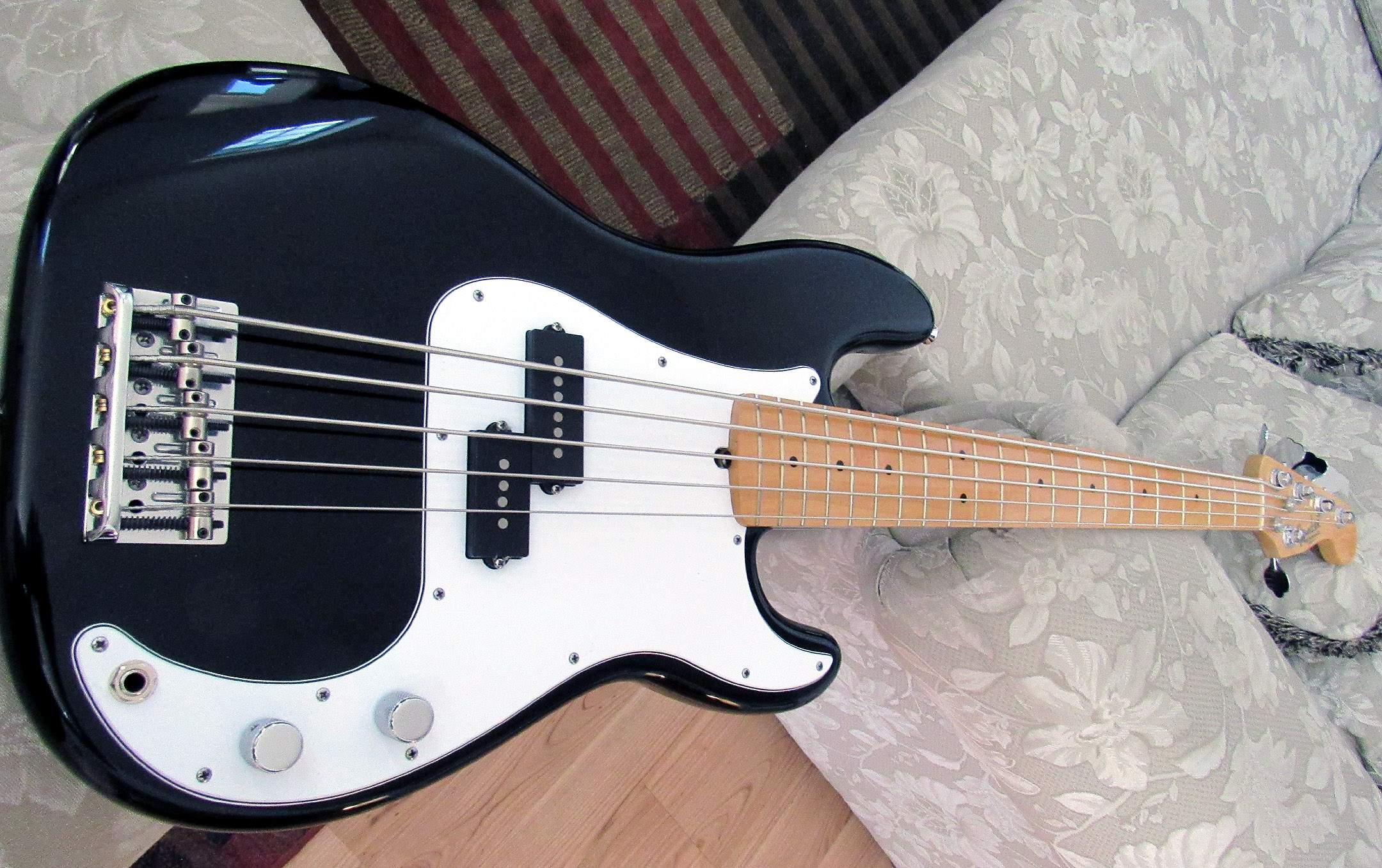 side view.jpg